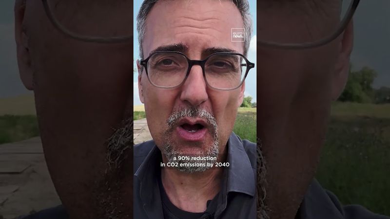 Renaturalisation of wetlands slows global warming and species decline | Teaser - EP44 | euronews 🇬🇧