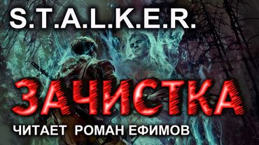 S.T.A.L.K.E.R. Зачистка (аудиокнига). Алексей Гравицкий.