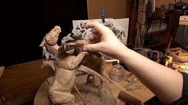 BATTLING FOR DOMINANCE   Last Day on the Horses, Mane and Tails Today