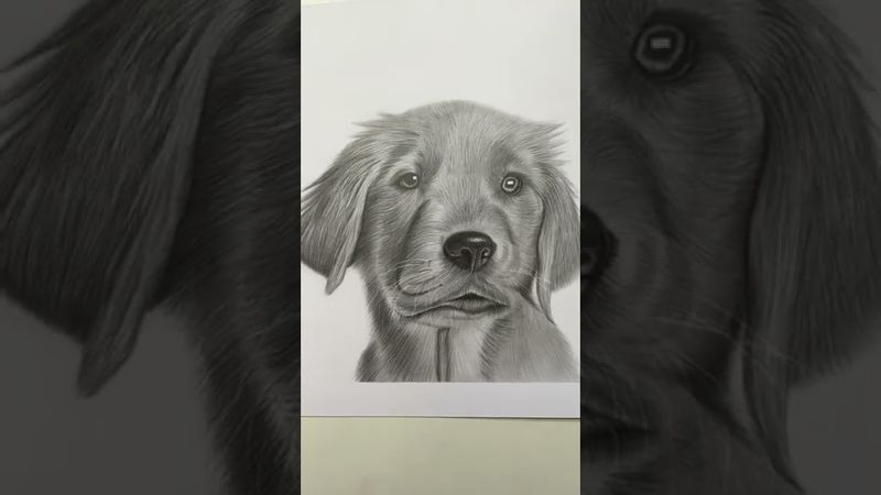 How Youtube works… #shorts