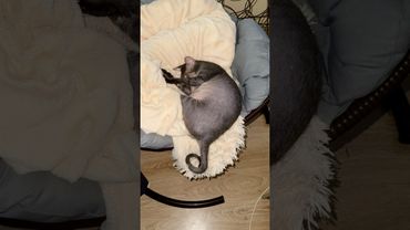 15 августа 2025 г.