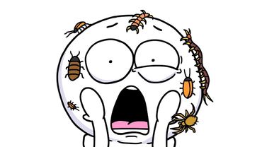 НАПАДЕНИЯ НАСЕКОМЫХ !!! (Анимация)