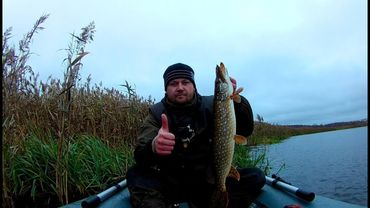 ЛОВЛЯ ХИЩНИКА В НОЯБРЕ.