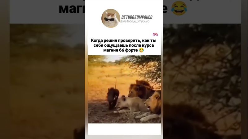 когда принял борзянки🤭