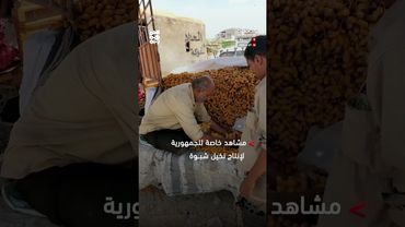 أسواق شبوة تبدأ استقبال بواكير إنتاج النخيل