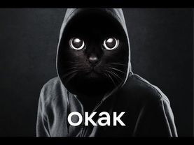 Оригинальный мем окак из тик тока черный кот в кофте