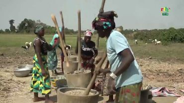 Racines : la Révolte Bwa (Novembre 1915 – Septembre 1916)