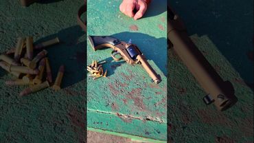 Ruger Wrangler Revolver