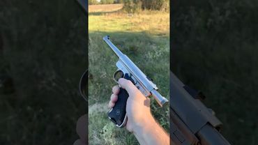 Stainless Steel .22 Ruger