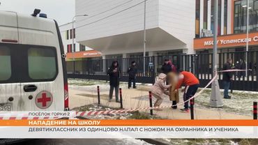 Девятиклассник из Подмосковья напал на учеников с ножом и смертельно ранил 11-летнего мальчика