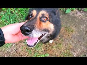 #Славянск. 30 июля 2025г. Вечер.