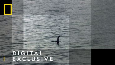 Il mostro marino della Scozia | Prosciugare gli oceani: i segreti di Loch Ness | National Geograp...