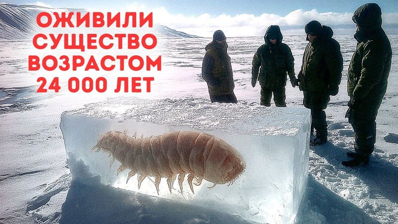 Древнее существо только что пробудилось?! Плюс еще больше замороженных находок