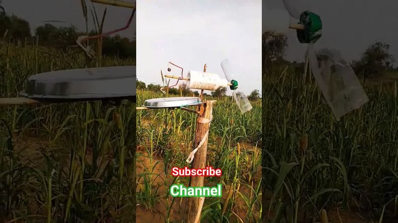 खेत में चिड़िया व जानवर भगाने का देसी जुगाड़😇😅#shorts#viral#jugaad