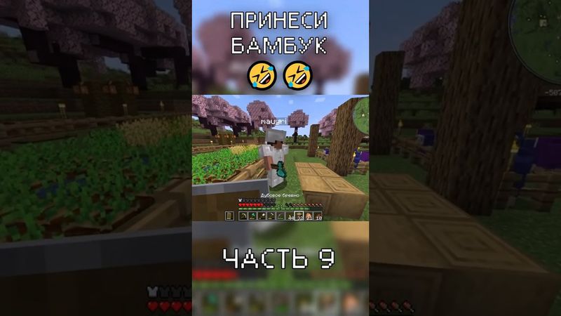 СХОДИЛ ЗА БАМБУКОМ в Minecraft (часть 9) #minecraft  #майнкрафт #баги_приколы_фэйлы #приколы_в_играх