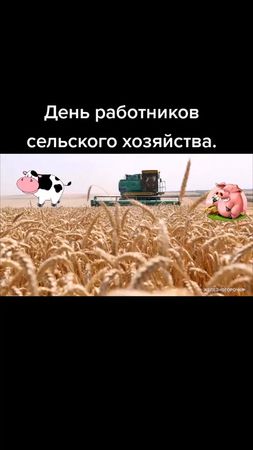 День работников сельского хозяйства.