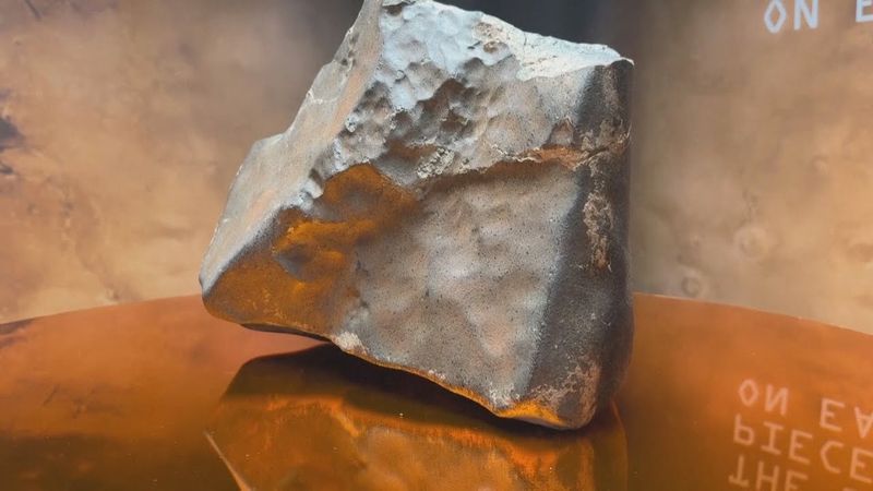 Самый крупный метеорит с Марса выставят на торги в Нью-Йорке