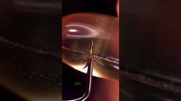 Softgel and Fishing Hook | Original sounds created by @OddioStudio    Follow this Foley artist!