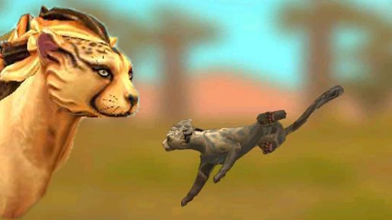 Малыш гепардик в WildCraft