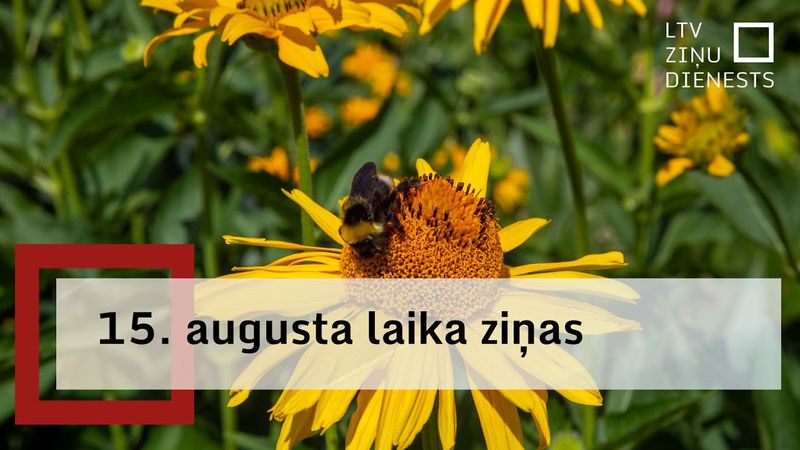 15. augusta laika ziņas