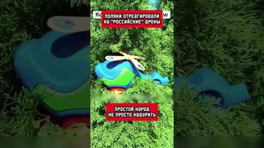 Реакция поляков на залетевшие в Польшу "русские дроны" бесценна! (перевод Кэндис Оуэнс)