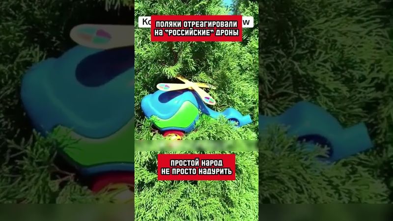 Реакция поляков на залетевшие в Польшу "русские дроны" бесценна! (перевод Кэндис Оуэнс)