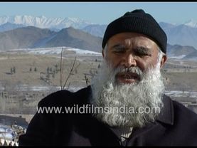 People don't have a good teacher who can tell them about Islam