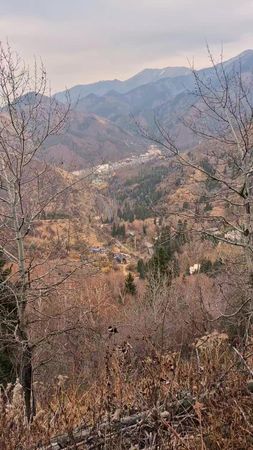 TikTok video #7565533036956388620