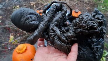 Чистка "Страшный суд" от вампиров ворующих плоды труда и негативно влияющих на судьбу!