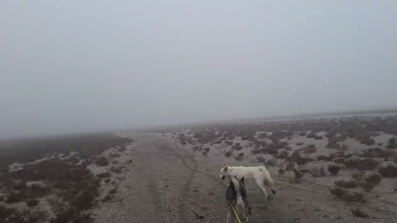 Школа Деревенского Колдуна. БЕСЕДА 42.КОЛДОВСКИЕ ТУМАНЫ.