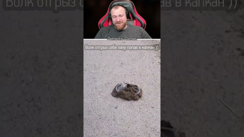 Петренто капкан #петренто #petrento #приколы #прикол #мем #мемы #реакция #юмор #смех #memes #funny
