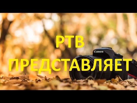 Осенняя Заставка РТВ 02.09.2024 Н.В. 4:3.