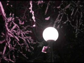 Юрий Шевчук. Романс. Январским вечером храним