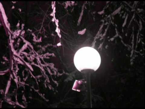 Юрий Шевчук. Романс. Январским вечером храним