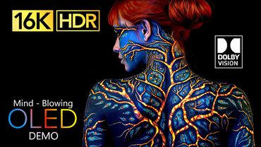 Best of 16K HDR Video ULTRA HD Dolby Vision (8K / 4K TV)