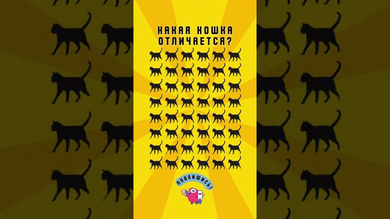 #головоломка #тест #shorts