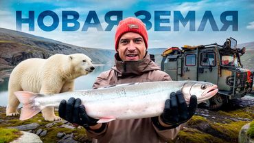 Рыбалка и Подводная Охота на Новой Земле. Ныряю Ночью с Белыми Медведями