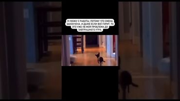 Жизааа 😂 а дальше сами как-нибудь #работа #смех #отпуск #жиза