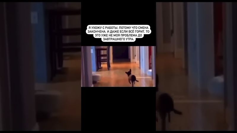 Жизааа 😂 а дальше сами как-нибудь #работа #смех #отпуск #жиза
