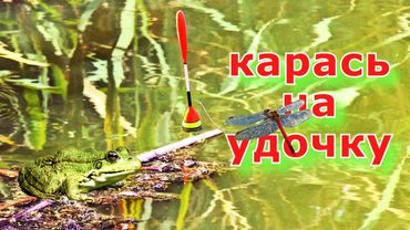 Замешал прикормку как хлеб и наловил карася на удочку. Ловля карася на поплавочную удочку летом