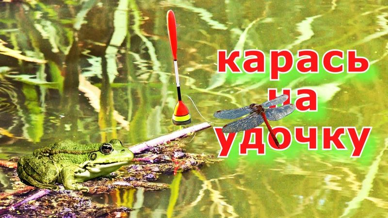 Замешал прикормку как хлеб и наловил карася на удочку. Ловля карася на поплавочную удочку летом