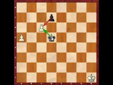 30. آموزش آخربازی شطرنج ( ترم چهارم - قسمت 5)