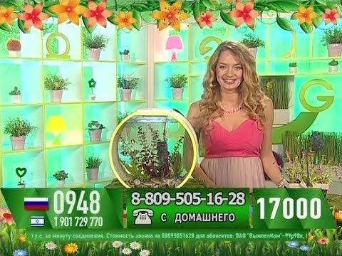 Елена Барабанова - "Счастливый час" (12.09.17)