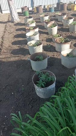 TikTok video #7511692919976348984