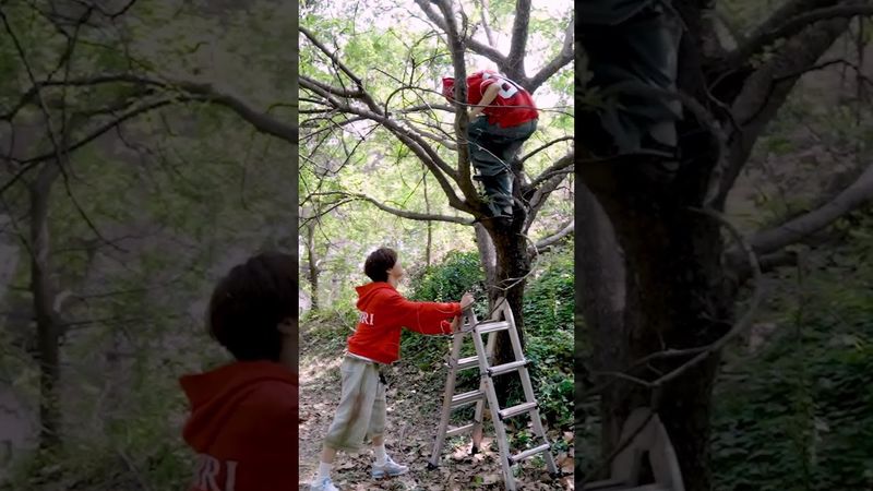 태인이 형은 나무에 있어. 환희는 갈 거야. #idntt #아이덴티티 #アイデンティティ #unevermet #choitaein #namjiwoon #leehwanhee