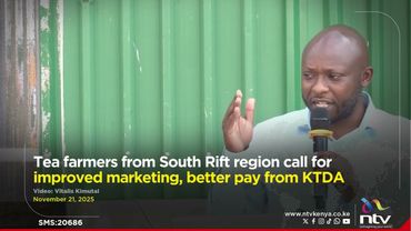 Tea farmers from South Rift region call for improved marketing, better pay from KTDA