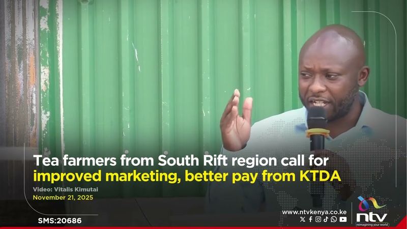مزارعو الشاي في منطقة جنوب ريفت يطالبون بتحسين التسويق وزيادة الأجور من هيئة تنمية الشاي الكورية