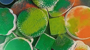 Mass crush for dust lover's must watch speed up too 😍 | oddly satisfying