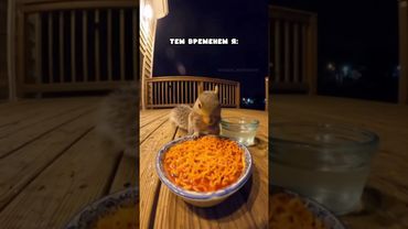 19 октября 2025 г.