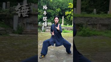 一套简单的太极拳，快跟我学起来吧 #太极 #弘扬中华武术 #武术 #太极拳教学